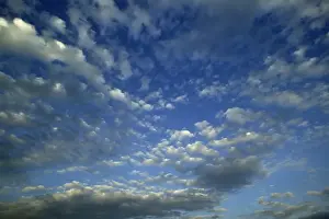 Clouds - cirrocumulus