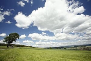 Images Dated 19th May 2009: Clouds - Cumulus clouds over hill farmland in spring