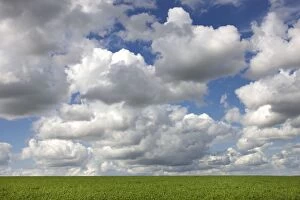 Images Dated 6th July 2012: Clouds - above field