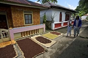 Agricultre Gallery: Cloves - drying in the streets