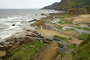 Seascape Collection: Coast at low tide showing tide pools Lincoln City area, Oregon, USA LA000870
