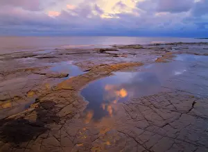 Rock Pool Prints: Coastal scenery rocky ledges and ocean at Kimmeridge Bay in soft afternoon light Kimmeridge Bay