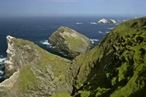 Coastal Scenery - steep, jagged cliffs and off-shore sea stacks with Gannetries