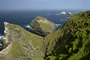 Sea Stacks Prints: Coastal Scenery steep, jagged cliffs and off-shore sea stacks with Gannetries Hermaness Nature Reserve