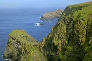 Images Dated 30th May 2007: Coastal Scenery - steep, jagged cliffs and sea stacks of Hermaness Nature Reserve