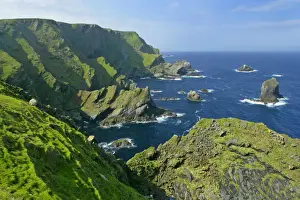 Sea Stacks Prints: Coastal Scenery steep, jagged cliffs and sea stacks of Hermaness Nature Reserve Unst