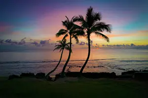 Palm Prints: Three coconut palm tree, Sunrise, Hauula, Windward, Oahu, Hawaii Date: 28-04-2021