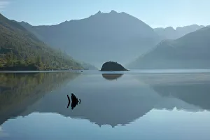Images Dated 3rd May 2006: Coldwater Lake Mount St Helens National Monument Washington State, USA LA001205