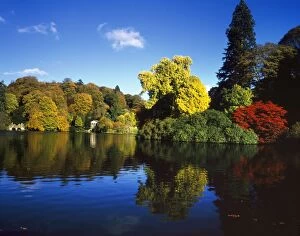 Colourful Trees and Lake