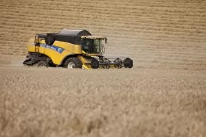 Images Dated 14th September 2012: Combine Harvester cutting wheat - September
