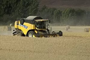 Images Dated 15th September 2012: Combine Harvester cutting wheat - September