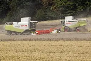 Harvests Prints: Combine Harvester - two harvesting corn - Lower Saxony - Germany