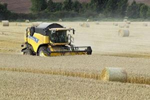 Images Dated 15th September 2012: Combine Harvester - harvesting in wheat field