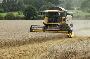 Images Dated 14th September 2012: Combine Harvester - harvesting in wheat field