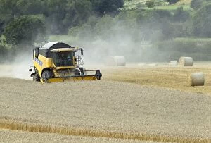 Images Dated 15th September 2012: Combine Harvester - harvesting in wheat field