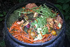 Compost - variety of kitchen waste including vegetable peelings cardboard and fruit peelings in top of black plastic recycled composting bin UK