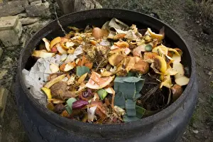 Recycling Prints: Compost - variety of kitchen waste including vegetable peelings paper and fruit in top of black plastic composting bin