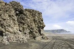 Auckland Prints: Conglomerate rock outcrops. Tiha beach - Waitaki Waitakere Ranges - Auckland - New Zealand
