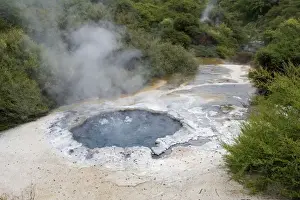 Energy Prints: Cooking Pool - in Maori Ngararatuatara was used for cooking sweet corn and other delicacies