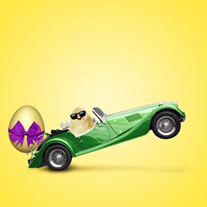 Cool Chick driving car with large Easter egg