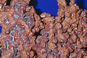 Metals Prints: Copper (native element) Bisbee, Cochise County, Arizona