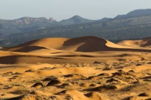 Images Dated 27th April 2012: Coral Pink Sand Dunes State Park