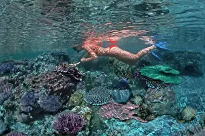 Divers Prints: Coral pool - Girl snorkeling in a coral pool in reef around Heron Island Great Barrier Reef