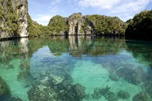 Lagoons Prints: Corals in quiet and clear waters of a Big Lagoon of El Nido Minilok island