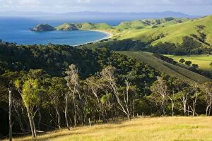 Coromandel Coastline - bay of Port Jackson surrounded by green rolling hills and patches of native forest