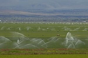 COS-1484 Irrigation of fertile valley