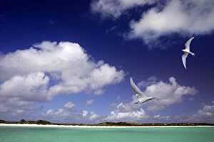 Images Dated 23rd April 2005: Cosmoledo Lagoon. Seychelles - Indian Ocean
