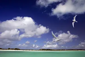 Cosmoledo Lagoon. Seychelles - Indian Ocean
