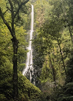 Costa Rica, Cocos Island, Wafer Bay Waterfall