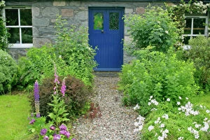 Cottage Garden - in spring with path leading to front door