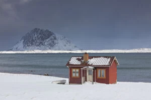 Cottage in snow storm - Lofoten - Norway