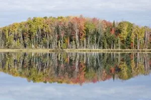 Images Dated 14th October 2009: Council Lake with Autumn Colours of Maples Reflected Upper Penninsular Michigan, USA LA004448