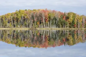 Maples Prints: Council Lake with Autumn Colours of Maples Reflected Upper Penninsular Michigan