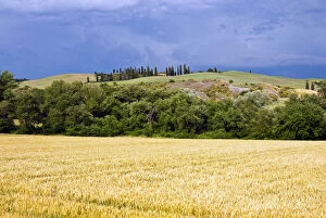 Countryside near San Quirico d'Orcia, Siena
