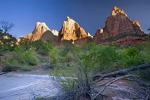 Court of the Patriarachs - Spring - with Cottonwood trees and foot bridge spanning the Virgin River - Zion National Park, Utah, USA