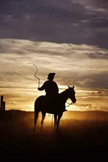 Herding Prints: Cow boy avec cheval de la race Quarter horse et/ou Paint des USA