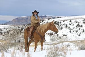 6 Gallery: Cowboy / Cowgirl - riding on Quarter Horse in snow