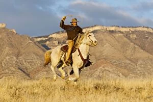 6 Gallery: Cowboy - riding on Quarter Horse with lasso