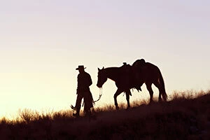 Cowboy - silhouette of cowboy with Quarter Horse at sunset