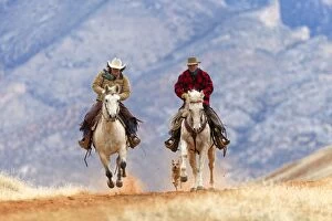 Behind Gallery: Cowboys - riding on Quarter Horses with dog running behind