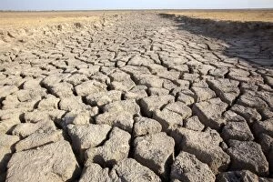 Images Dated 24th March 2015: Cracked Earth parched by the sun and drought