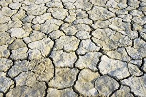 Images Dated 1st March 2010: Cracked soil in a desert near Kum-Dag - summer - Turkmenistan - former CIS Tm31. 0153(1805)
