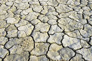 Middle East Prints: Cracked soil in a desert near Kum-Dag - summer - Turkmenistan - former CIS Tm31