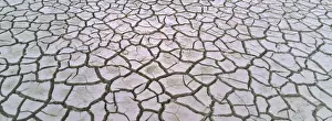 Cracked Prints: Cracked Tidal Mud Snettisham The Wash Norfolk UK