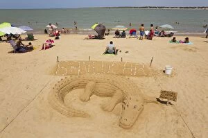 Images Dated 2nd August 2013: Crocodile Sand Sculpture