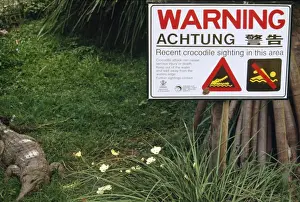 Dangerous Prints: Crocodile Warning Sign Queensland National Park, Australia